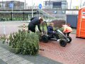 Piet Jonker kerstbomen 2019 (1)