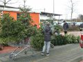 Piet Jonker kerstbomen 2019 (19)