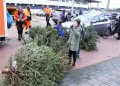 Piet Jonker kerstbomen 2019 (9)