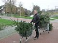 Piet Jonker kerstbomen 2018 (11)