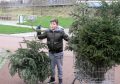 Piet Jonker kerstbomen 2018 (12)