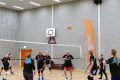 Piet-Jonker-weidevenner-volleybal-2