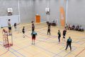 Piet-Jonker-weidevenner-volleybal-7